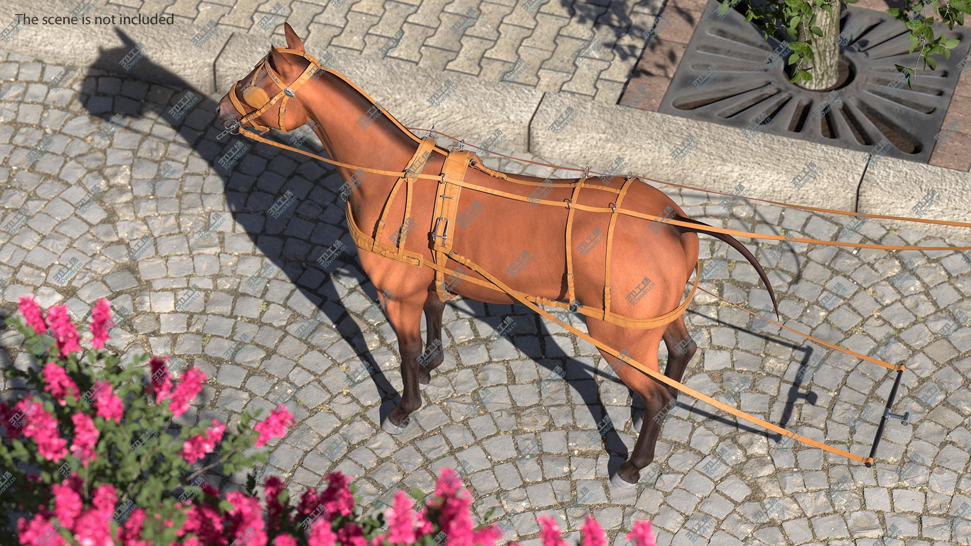 images/goods_img/20210313/3D Horse Leather Single Driving Harness model/5.jpg